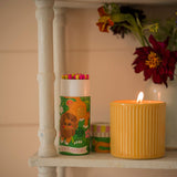 Matches In Cylinder Tube Lion