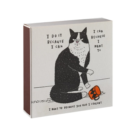 Boxed Matches I Do It Because I Can