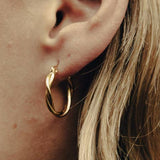 Gold Earrings Entwined Hoop Medium
