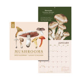 2025 Calendar Mushrooms