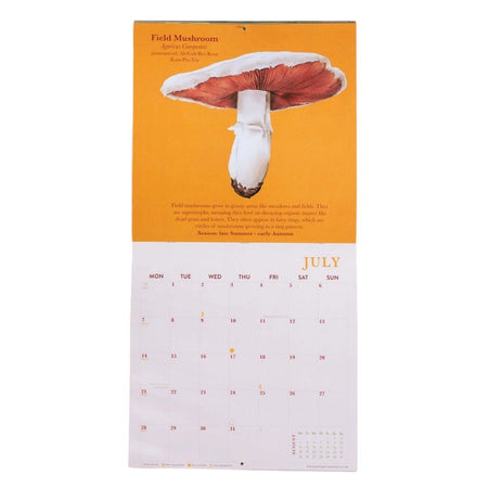 2025 Calendar Mushrooms