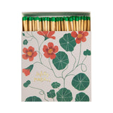 Boxed Matches Nasturtium