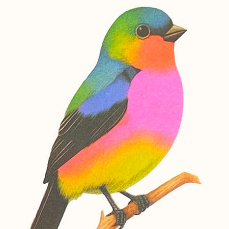 Print Risograph Neon Bird