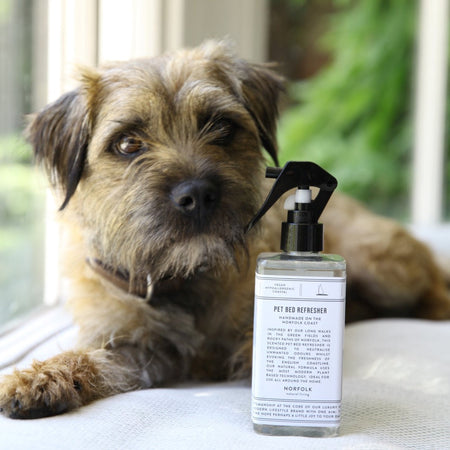 Pet Bed Refresher Spray