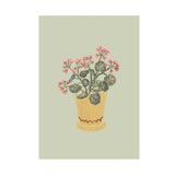 A5 Print Geraniums