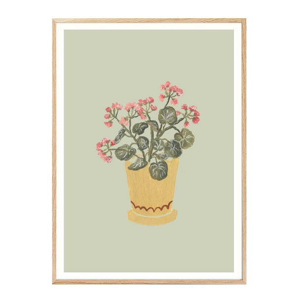 A5 Print Geraniums