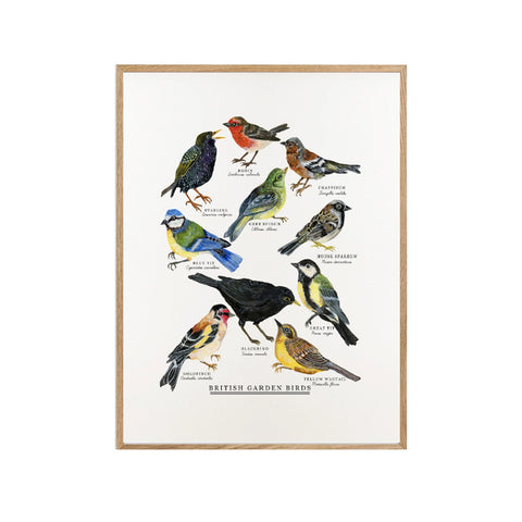 British Garden Birds Print