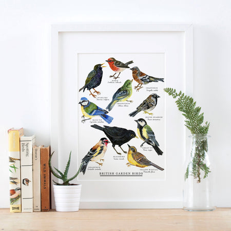 British Garden Birds Print