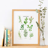 Garden Herbs Print