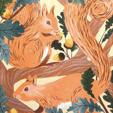 Red Squirrels A3 Print