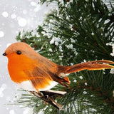A small robin bird with a bright orange chest, brown wings, and white underparts perched on a snow-dusted green pine branch against a snowy white background .