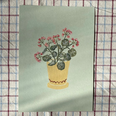 A5 Print Geraniums