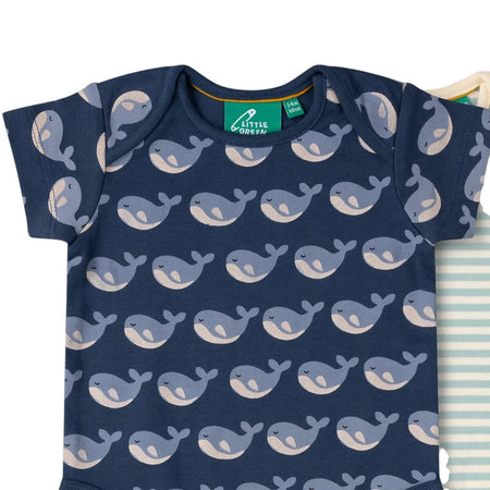 Baby Body Set Of 2 Singing Whales