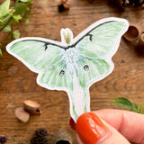 Sticker Set Luna Moth