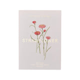 Seed Packet Strawflowers