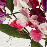 Greeting Card Mixed Sweet Peas
