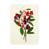 Greeting Card Mixed Sweet Peas