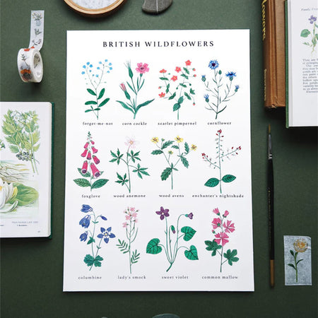 Wildflowers A4 Print