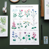 Wildflowers A4 Print
