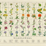 Print Wildflowers