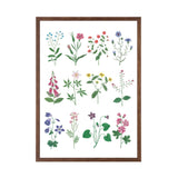 Framed artwork of various stylized flowers on a white background