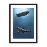 Shark Print 25 Footer