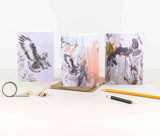 Greetings Card Red Footed Falcon