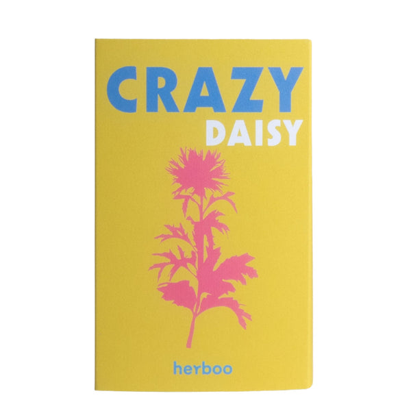 Daisy Seed Crazy Daisy