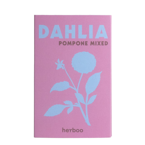 Dahlia Seeds Pompone Mixed
