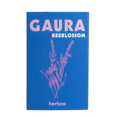 Gaura Seeds Beeblossom