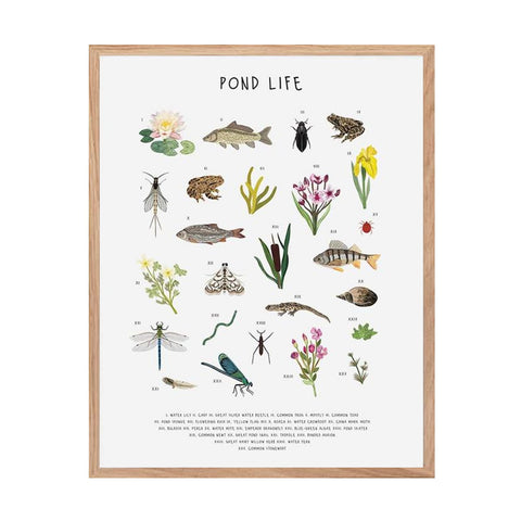 Print Pond Life