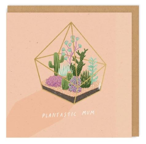 Pale pink card. With a terrarium full of cactus's.
