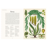 Botanicum Book