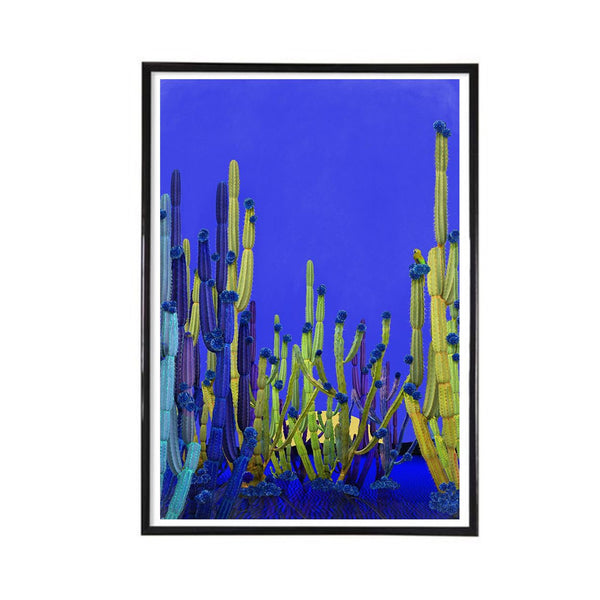 Cactus Blue Limited Edition Fine Art Print