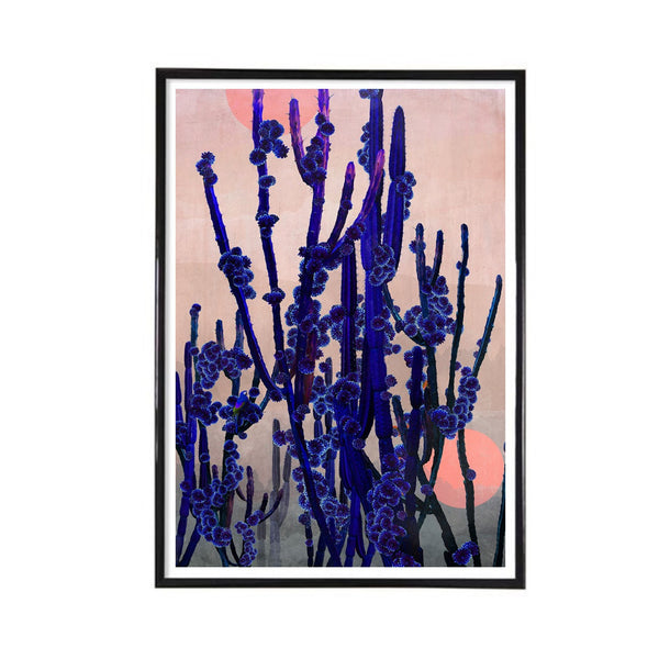 Cactus Moon Limited Edition Fine Art Print