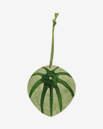 Wooden Birch Decorative Hanging Leaf Peperomia