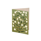Card With Love Daisies