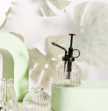 Plant Mister Clear Glass