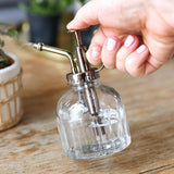 Plant Mister Clear Glass