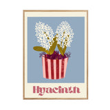 Hyacinth Flowers In Vase A4 Print