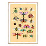 Print A4 Insects