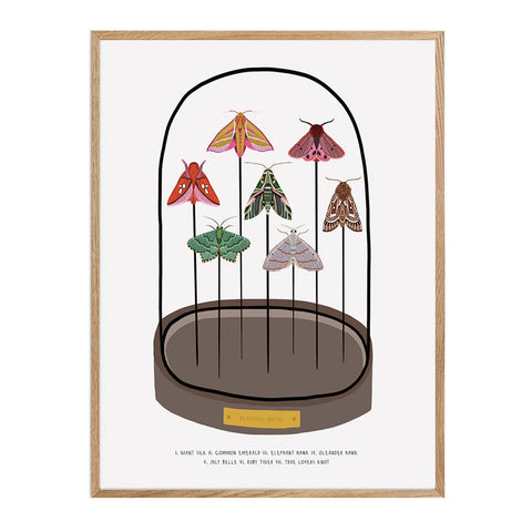 Moths Bell Dome Jar Print A3