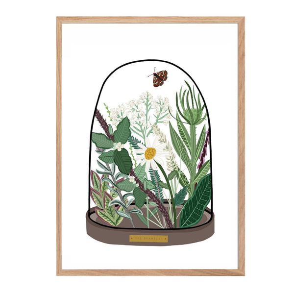 Glass dome illustration filled with British hedgerow plants and a fluttering butterfly.
