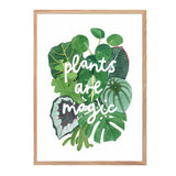 Print with text 'Plants Are Magic' surrounded by tropical leaves.