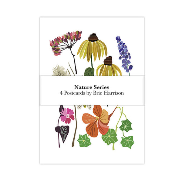 Postcard Set Of 4 Nature Series