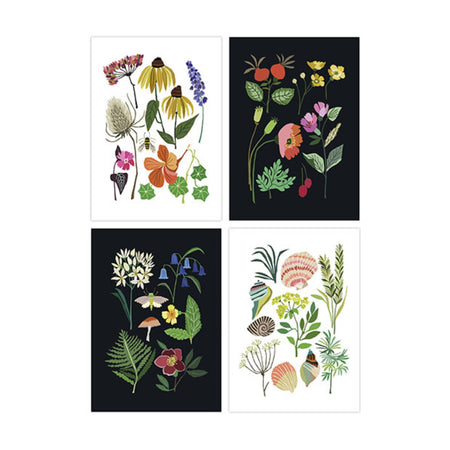 Postcard Set Of 4 Nature Series
