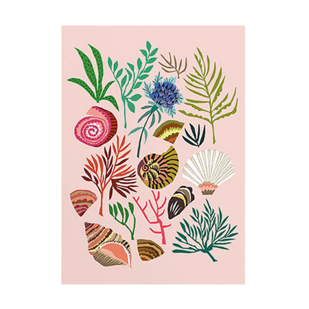 Card Shells And Seaweed