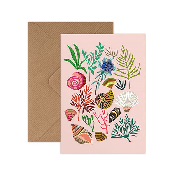 Card Shells And Seaweed