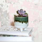 Planter With Legs Ceramic Green Glaze Mojave Small