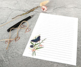 Notepaper And Envelope Boxed Writing Set